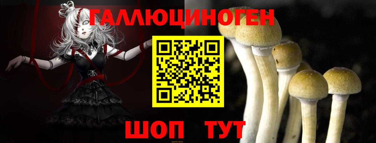 Егорьевск  Псилоцибиновые грибы ЛСД  Галлюциногенные грибы Cubensis  Вход с VPN 